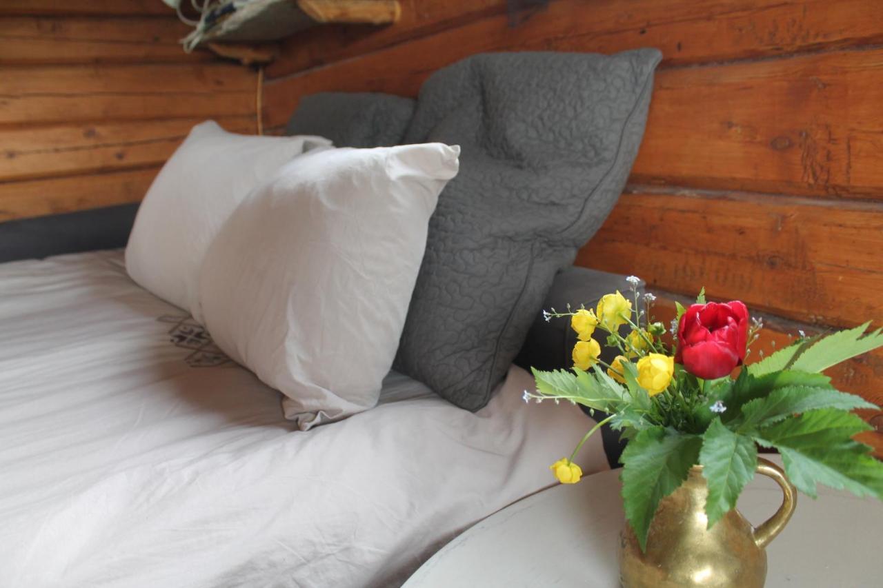 Appartement Escapade Norvégienne à Tolga Extérieur photo