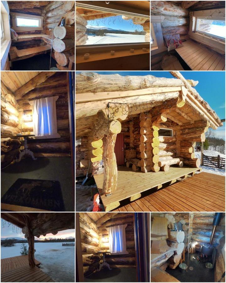 Appartement Escapade Norvégienne à Tolga Extérieur photo