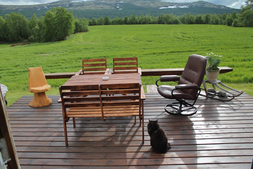 Appartement Escapade Norvégienne à Tolga Extérieur photo